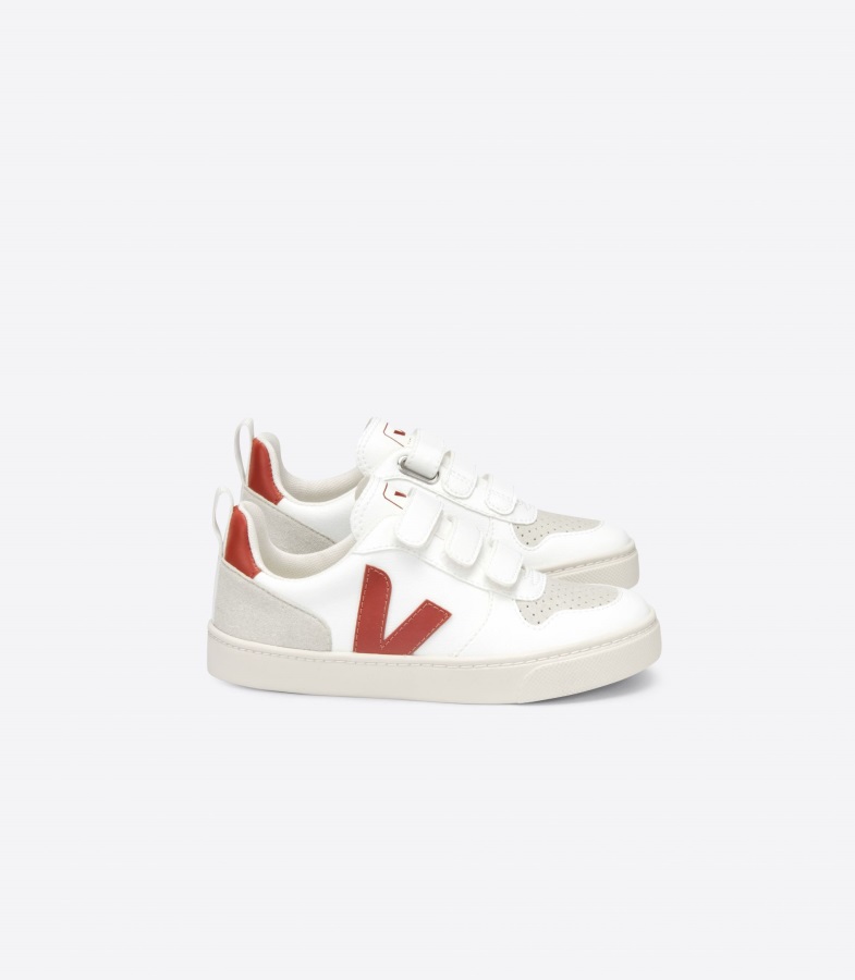 Canvas Pumpkin Pierre Premium Veja