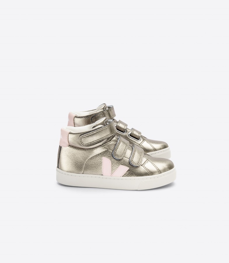 Perfect Veja Se Canvas White Rose Fluo Petale