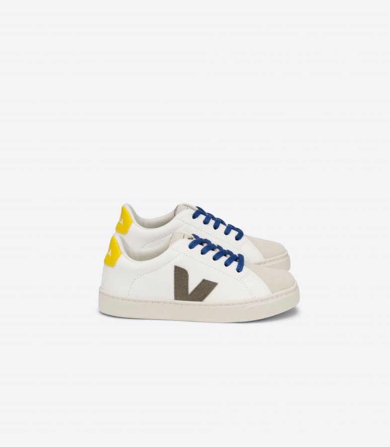 Collection Veja Laces Cwl White Pierre Rose Fluo