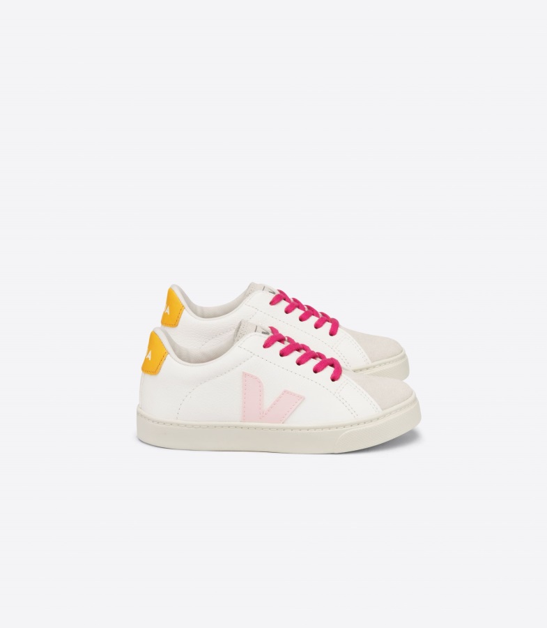 Collection Veja Elastic Laces Canvas Poker Pierre