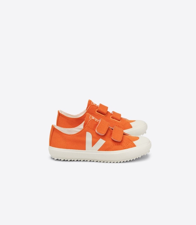 Canvas Pumpkin Pierre Veja Special