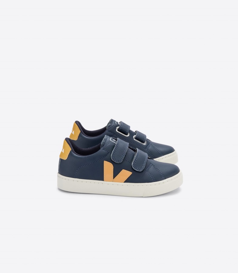 Ht Canvas Black Pierre Veja Series