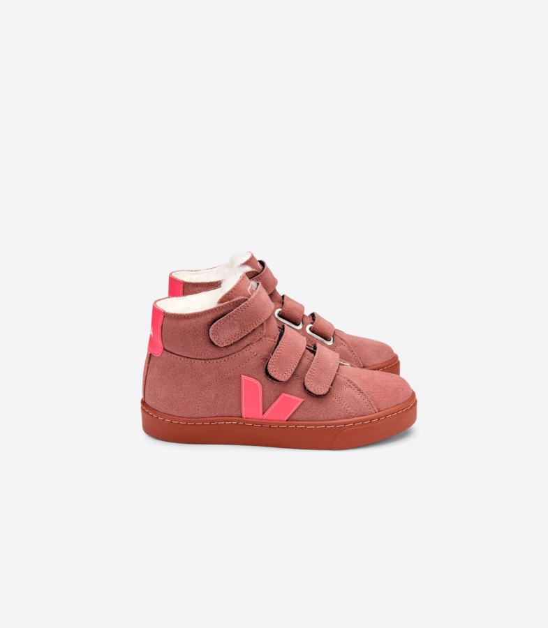 X Amelie Pichard Beige Veja Premium