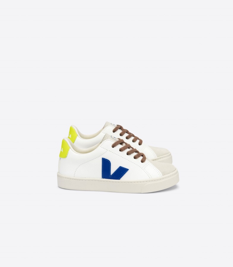 Collection Eggshell Pierre Veja