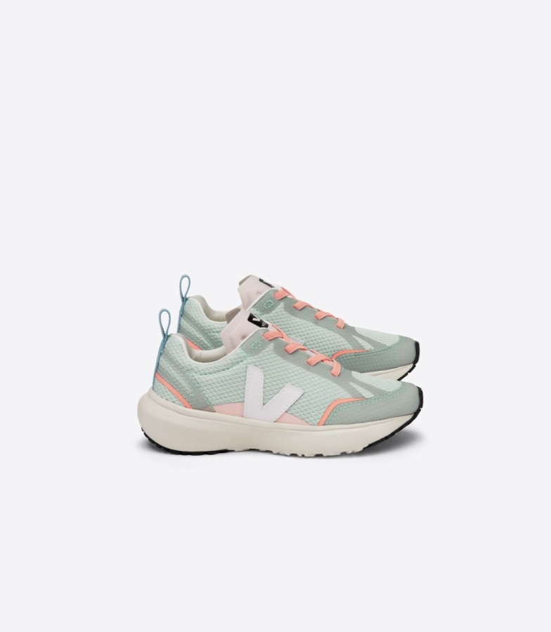 Veja Special Suede Dune Pierre