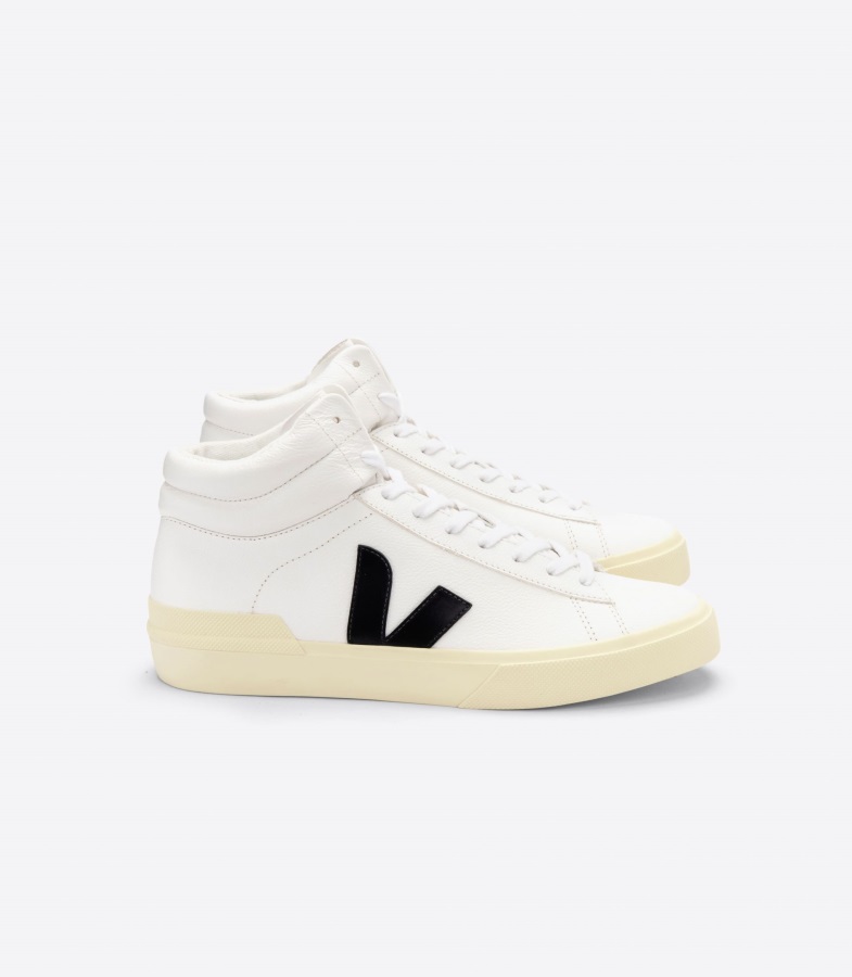 Elastic Laces Natural Purple Premium Veja Sale